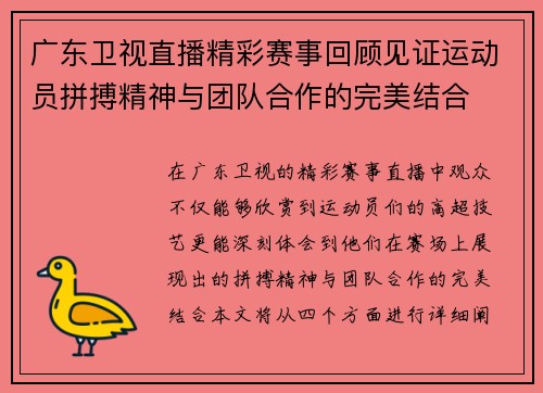 广东卫视直播精彩赛事回顾见证运动员拼搏精神与团队合作的完美结合