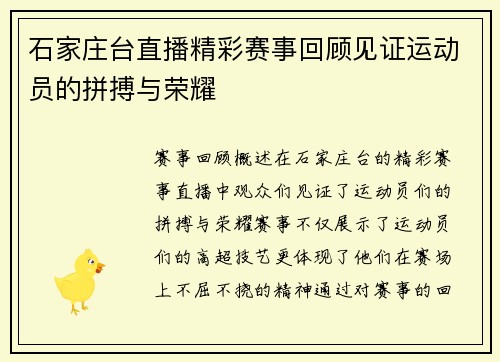石家庄台直播精彩赛事回顾见证运动员的拼搏与荣耀